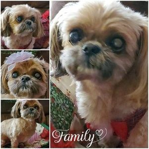 Meet your Posher, Ernie lorraine